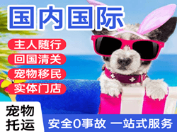 阿荣机场空运国际宠物托运 【国